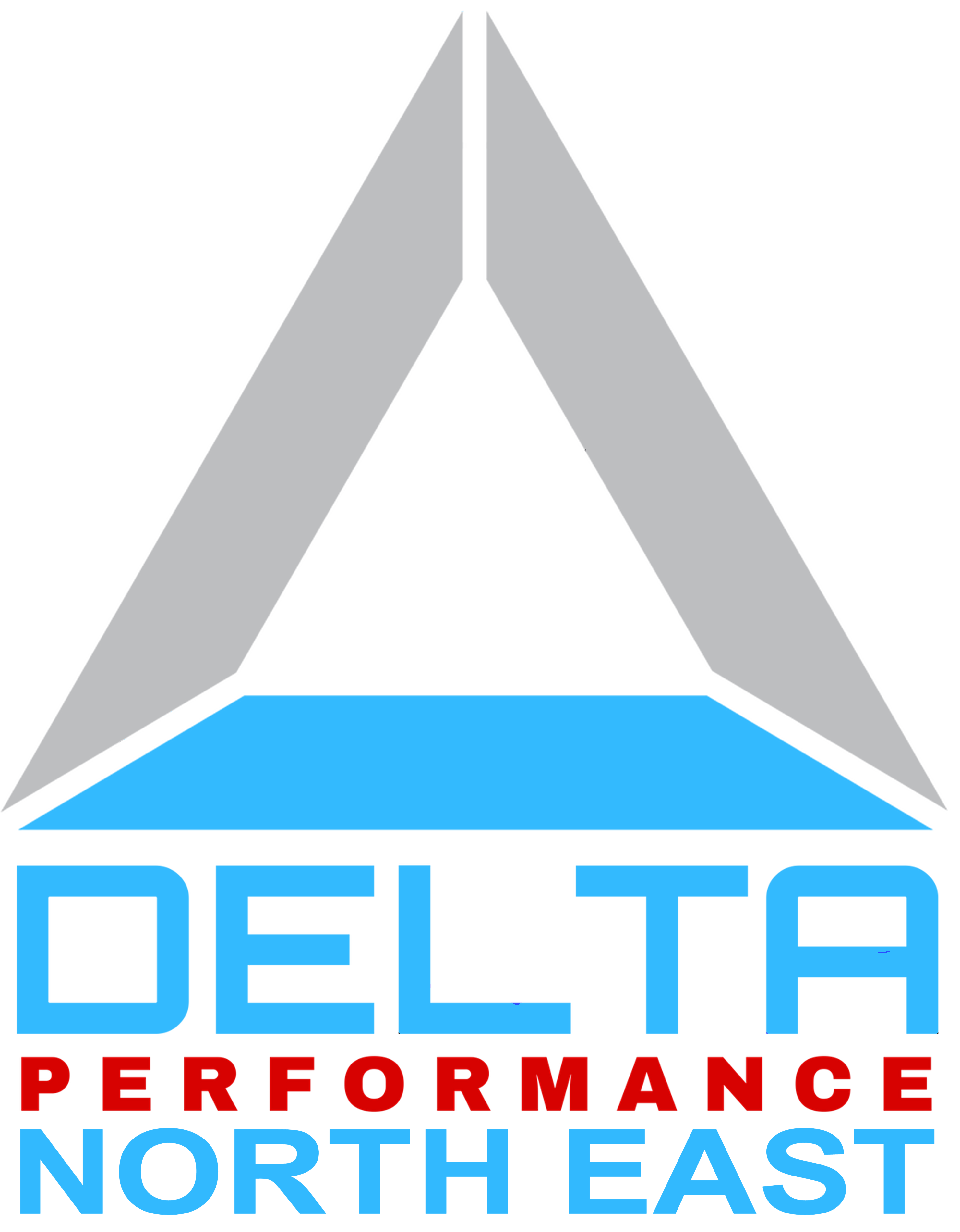 Delta NorthEast logo